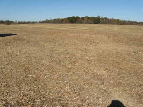 Property photo 21 - 110+/- Acres offered in 4 Tillable Tracts